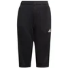 adidas Tiro 21 3/4 Kelnės Jaunimui GM7373