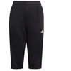 adidas Tiro 21 3/4 Kelnės Jaunimui GM7373