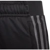 adidas Tiro 21 3/4 Kelnės Jaunimui GM7373