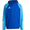 Adidas Tiro 23 Competition All Weather M IC4572 striukė