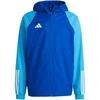 Adidas Tiro 23 Competition All Weather M IC4572 striukė