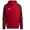 Adidas Tiro 23 Competition All Weather striukė vyrams HE5653