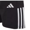 adidas Tiro 23 Competition Downtime vaikiški juodi šortai HI4716