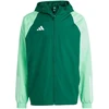 Adidas Tiro 23 Competition Visų Oro Sąlygų Varžybų Striukė M IC4570