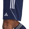 adidas Tiro 23 League M IB8081 šortai