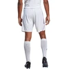 adidas Tiro 23 League M IC7487 Šortai