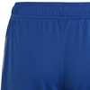 adidas Tiro 23 League Šortai Jaunimui IB8094
