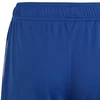 adidas Tiro 23 League Šortai Jaunimui IB8094