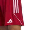 adidas Tiro 23 League šortai vyrams IB8082