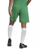 Adidas Tiro 23 League Šortai Vyrams IB8087