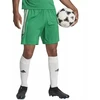 Adidas Tiro 23 League Šortai Vyrams IB8087