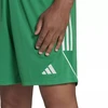Adidas Tiro 23 League Šortai Vyrams IB8087