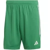 Adidas Tiro 23 League Šortai Vyrams IB8087