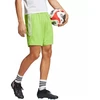 adidas Tiro 23 League Šortai Vyrams IB8088