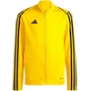 Adidas Tiro 23 League Treniruočių Džemperis Berniukams IC7874