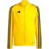 Adidas Tiro 23 League Treniruočių Džemperis Berniukams IC7874