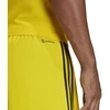 adidas Tiro 23 League vyriškos trumpikės M IB8085
