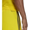 adidas Tiro 23 League vyriškos trumpikės M IB8085