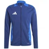 Adidas Tiro 24 Competition M IP1874 džemperis