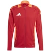 Adidas Tiro 24 Competition M IP1875 džemperis