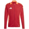 Adidas Tiro 24 Competition M IP1875 džemperis