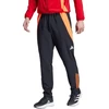 adidas Tiro 24 Competition Pristatymo kelnės Vyrams IR7606