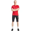 Adidas Tiro 24 Competition pusilgio šortai M IR5491