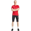 Adidas Tiro 24 Competition pusilgio šortai M IR5491