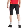 Adidas Tiro 24 Competition pusilgio šortai M IR5491