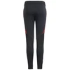 adidas Tiro 24 Competition Training Jr IS1638 Kelnės