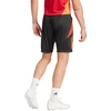 adidas Tiro 24 Competition Training M IR5484 Šortai