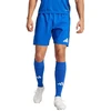 Adidas Tiro 24 Competition treniruočių M šortai IQ4755