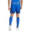 Adidas Tiro 24 Competition treniruočių M šortai IQ4755
