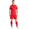 Adidas Tiro 24 Competition Treniruočių šortai M IK2245