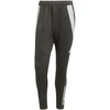 Adidas Tiro 24 Competition Winterized M kelnės IM9972