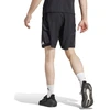 adidas Tiro 24 DT M IP5594 šortai