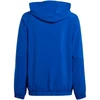 Adidas Tiro 24 jaunimo striukė IM8794