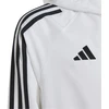 Adidas Tiro 24 jaunimo striukė IM8799