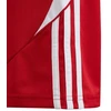 adidas Tiro 24 Jr IR9367 Šortai