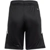 adidas Tiro 24 Jr IR9368 Šortai