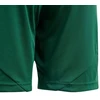 adidas Tiro 24 Jr IT2409 Šortai