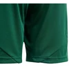 adidas Tiro 24 Jr IT2409 Šortai
