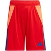adidas Tiro 24 Jr IT2422 šortai