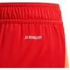 adidas Tiro 24 Jr IT2422 šortai