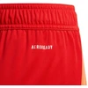 adidas Tiro 24 Jr IT2422 šortai
