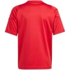adidas Tiro 24 Jr marškinėliai IS1030