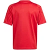 adidas Tiro 24 Jr marškinėliai IS1030