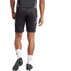 Adidas Tiro 24 Kompeticiniai Vyriški treniruočių šortai IL8256