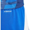adidas Tiro 24 M IR9378 šortai