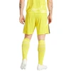 adidas Tiro 24 M IS1409 šortai
